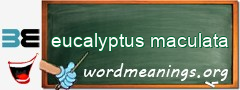 WordMeaning blackboard for eucalyptus maculata